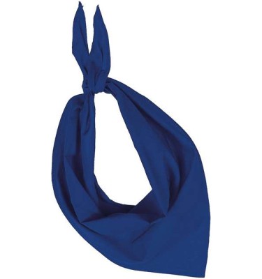 Light royal blue