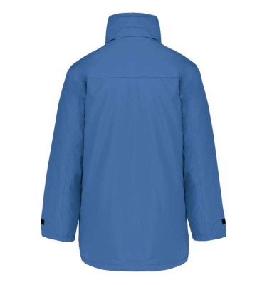 Light royal blue
