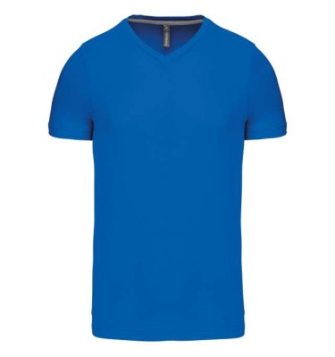 Light royal blue