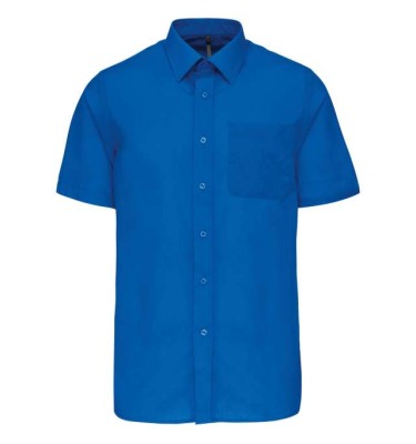 Light royal blue
