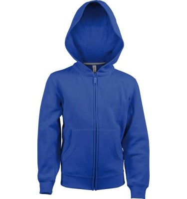 Light royal blue