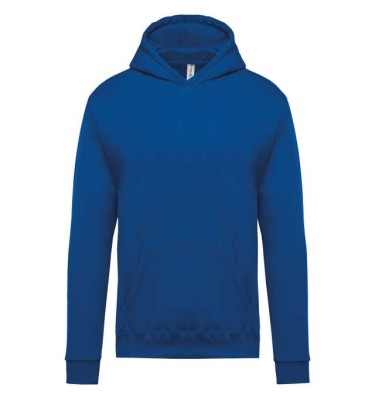Light royal blue