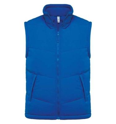 Light royal blue