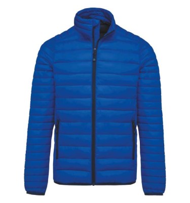 Light royal blue