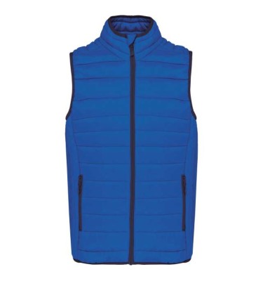 Light royal blue