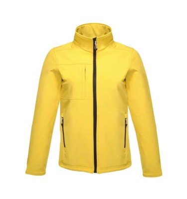 Bright yellow/black