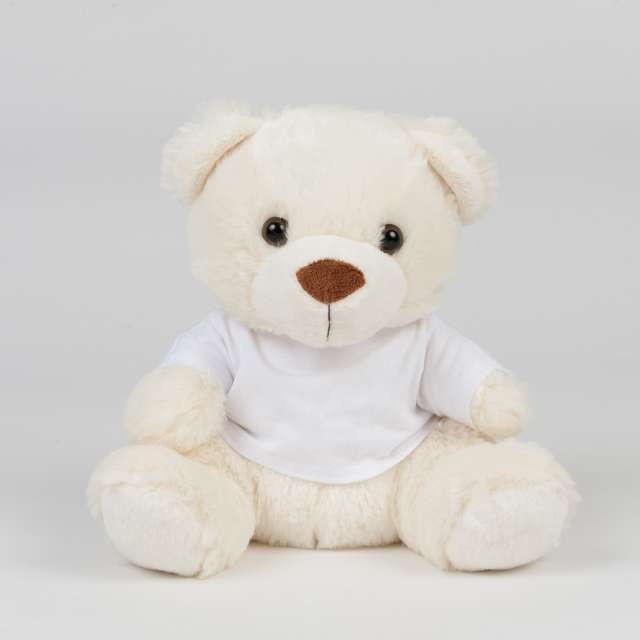 BEAR IN A T-SHIRT