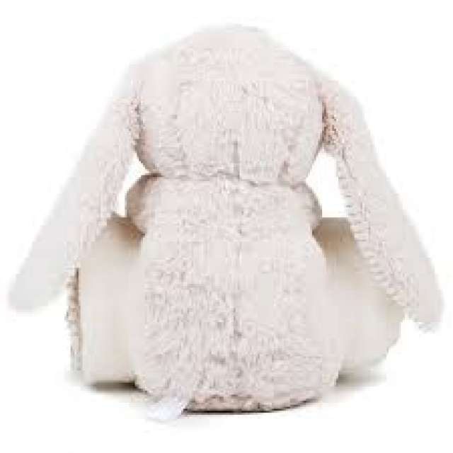 RABBIT AND BLANKET
