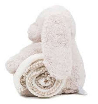 RABBIT AND BLANKET
