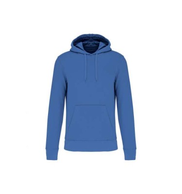 Light royal blue