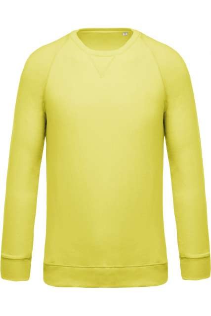 MEN'S ORGANIC COTTON CREW NECK RAGLAN SLEEVE SWEATSHIRT