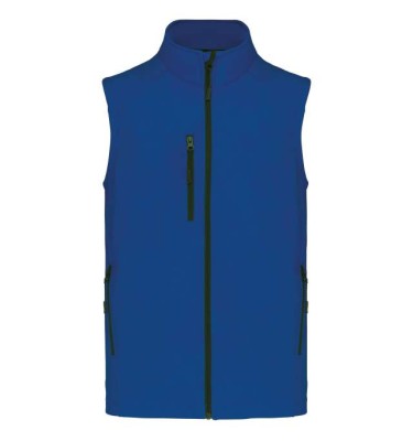 Dark royal blue