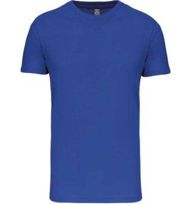 Light royal blue