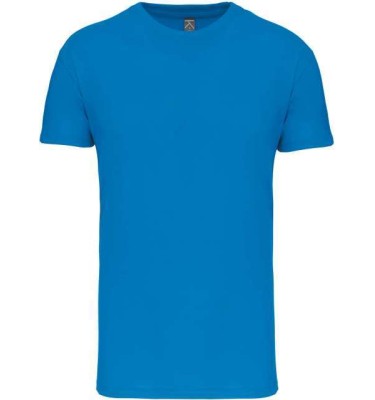 Light royal blue