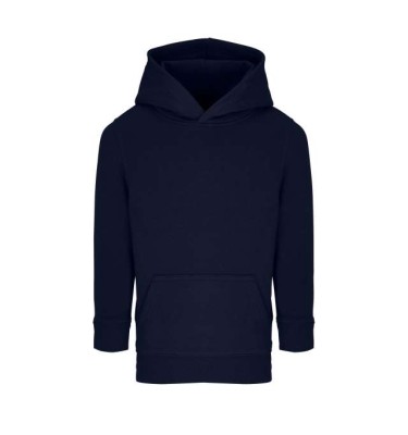 French navy