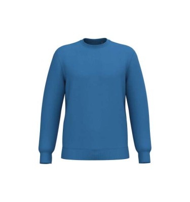 Light royal blue