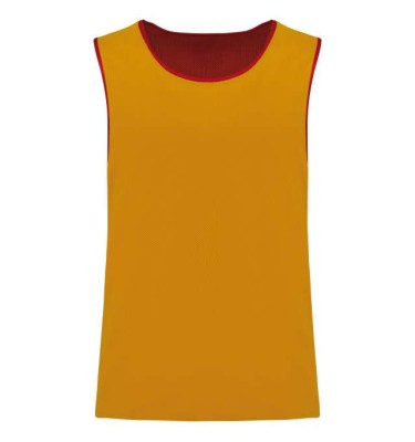 MULTI-SPORTS REVERSIBLE BIB