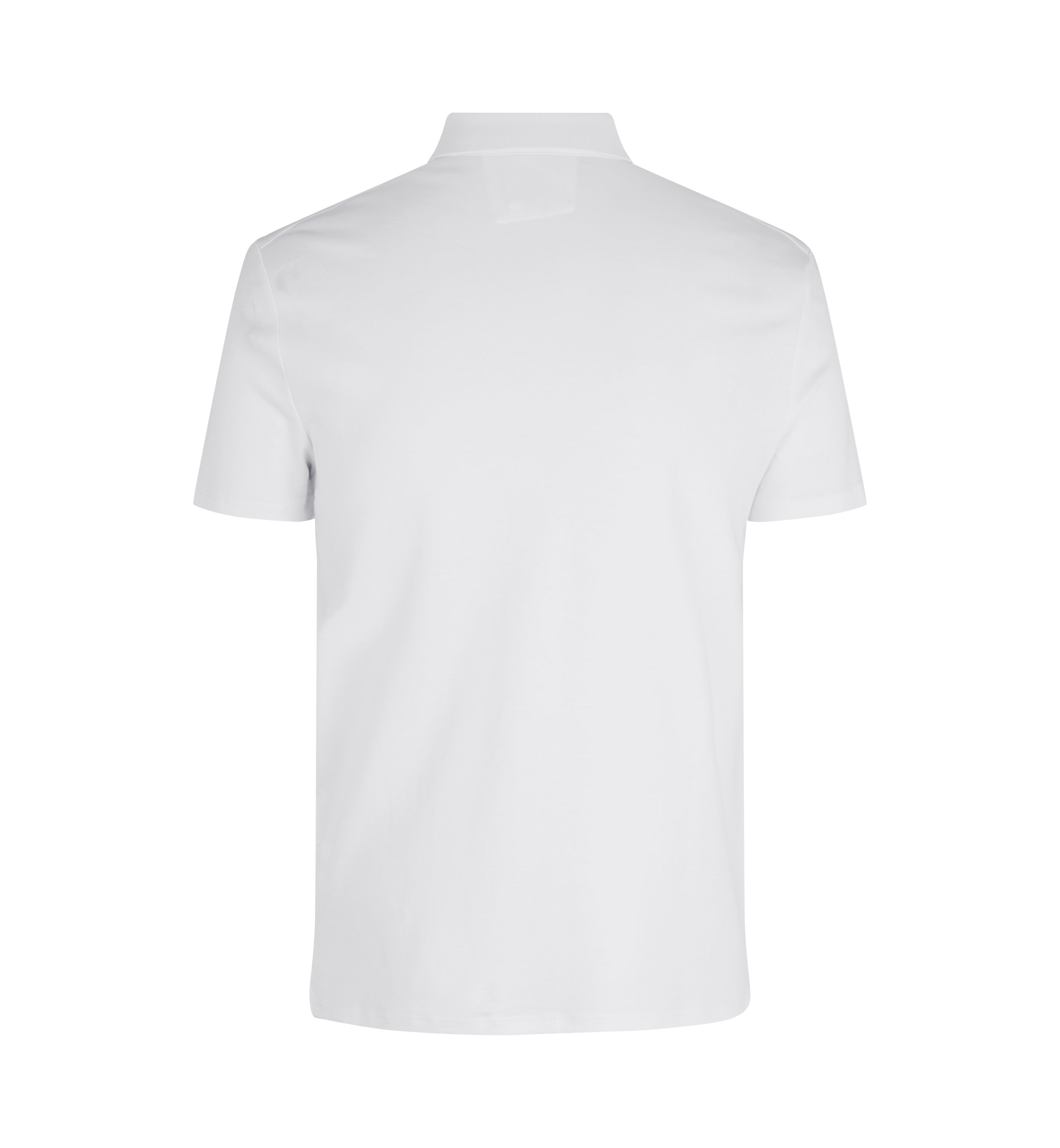SEVEN SEAS The polo