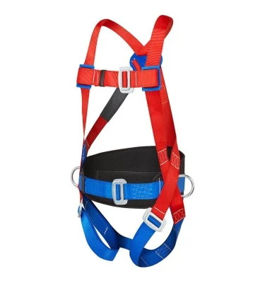 Portwest 2 Point Comfort Harness