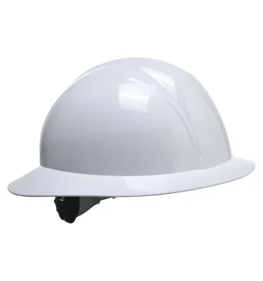 Full Brim Future Helmet