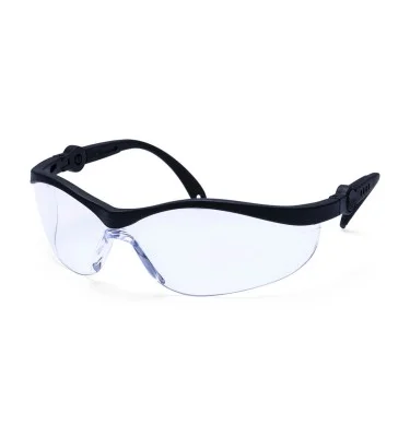 Safeguard Safety Glasses