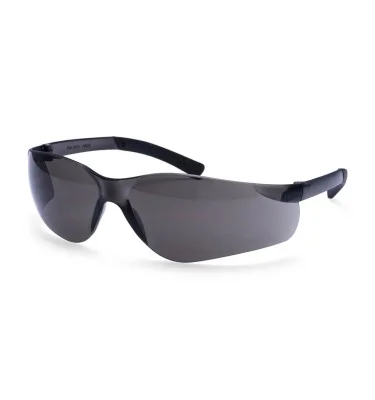 Pan View Safety Glasses