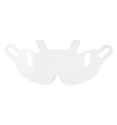 Endurance Visor Replacement