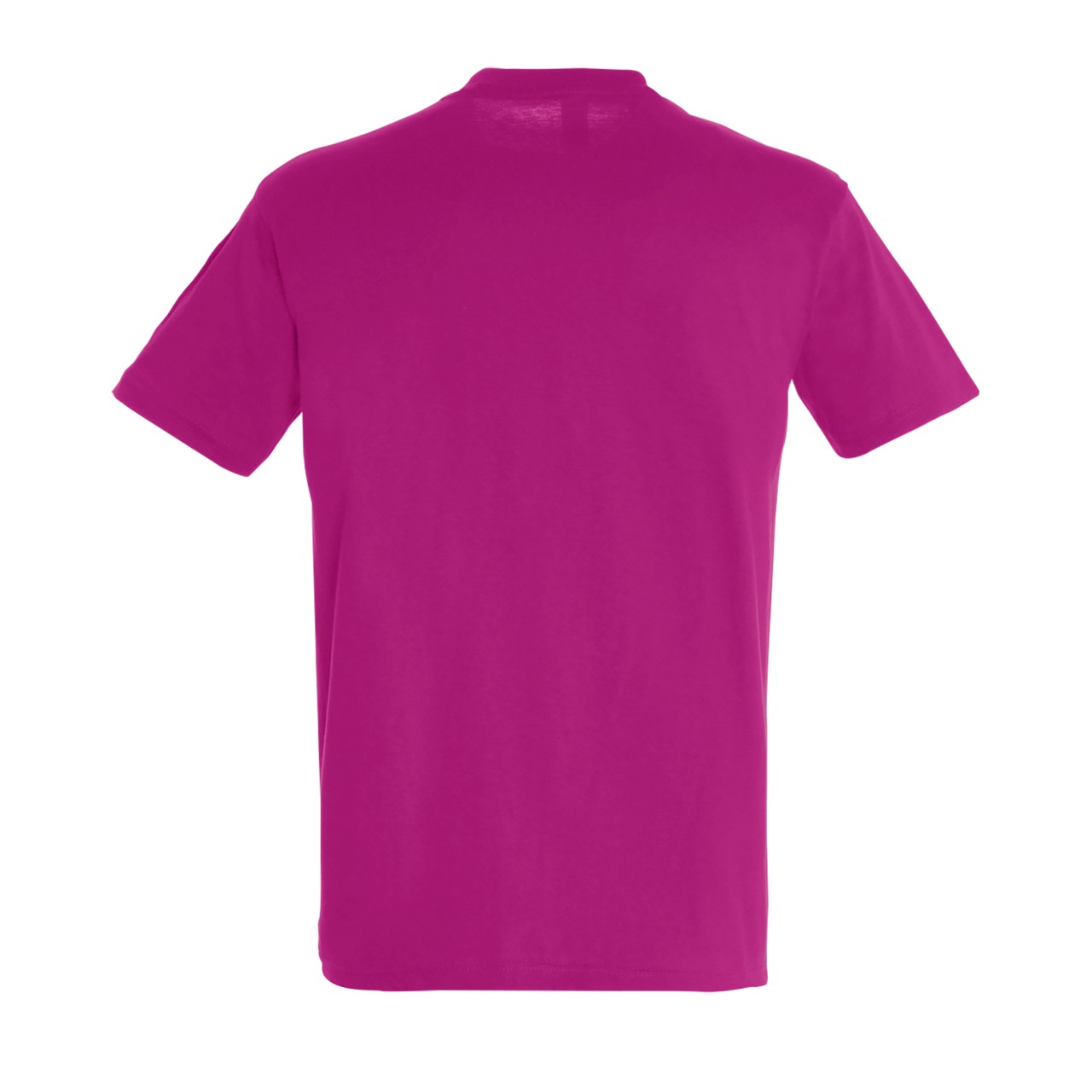 SOL'S REGENT - UNISEX ROUND COLLAR T-SHIRT