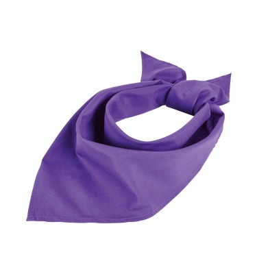 SOL'S BANDANA
