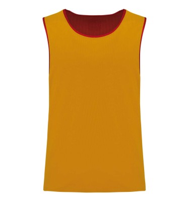 MULTI-SPORTS REVERSIBLE BIB