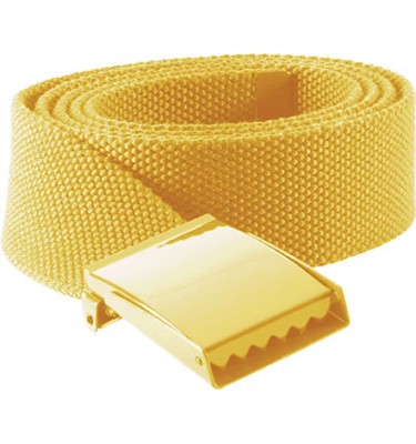 POLYESTER BELT