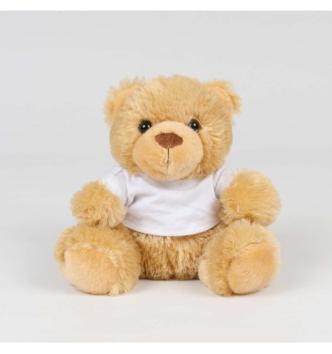 BEAR IN A T-SHIRT