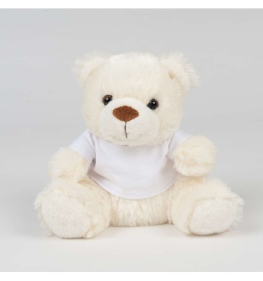 BEAR IN A T-SHIRT