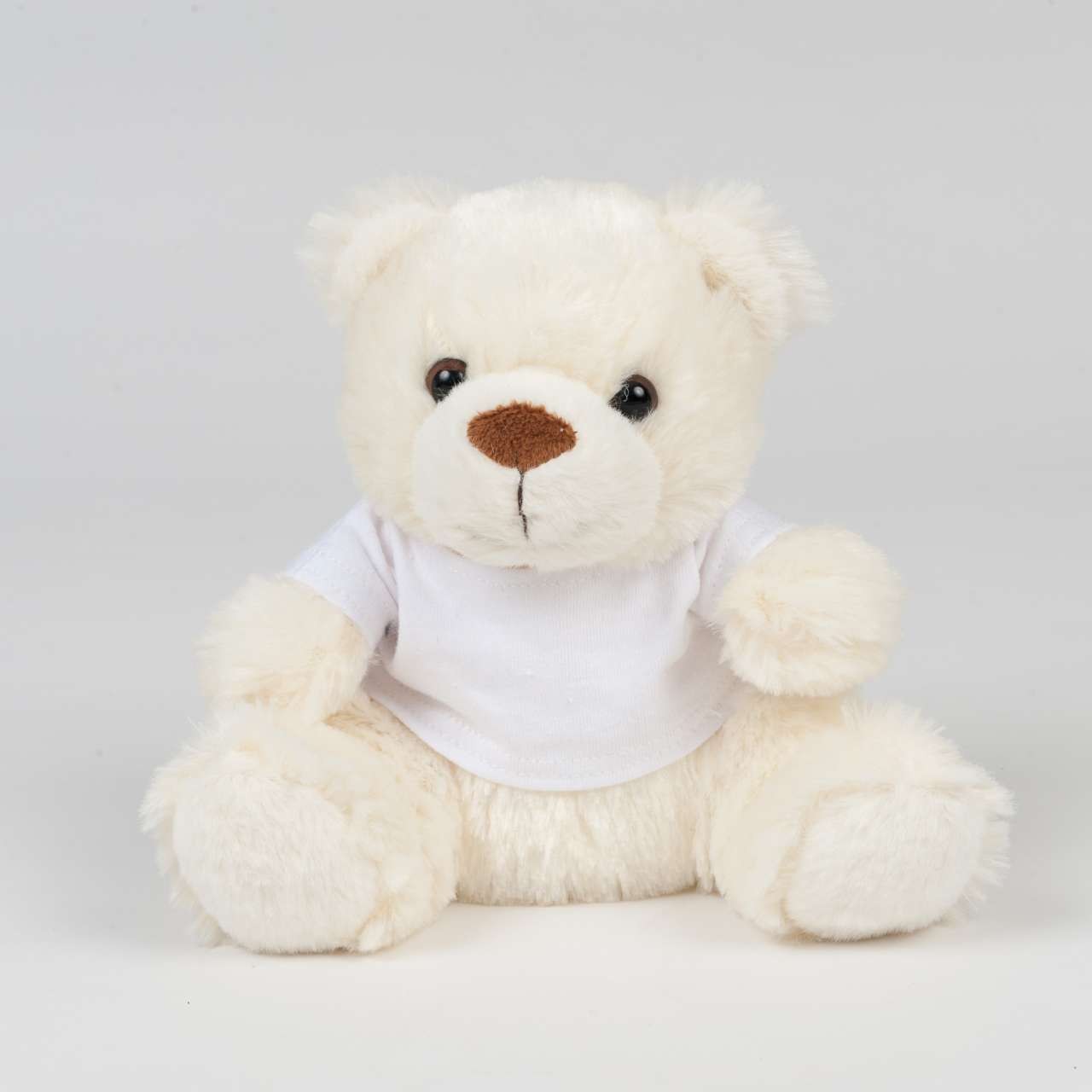 BEAR IN A T-SHIRT