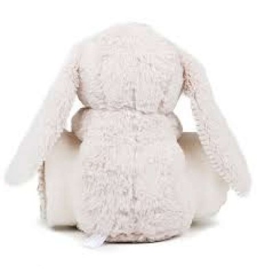 RABBIT AND BLANKET