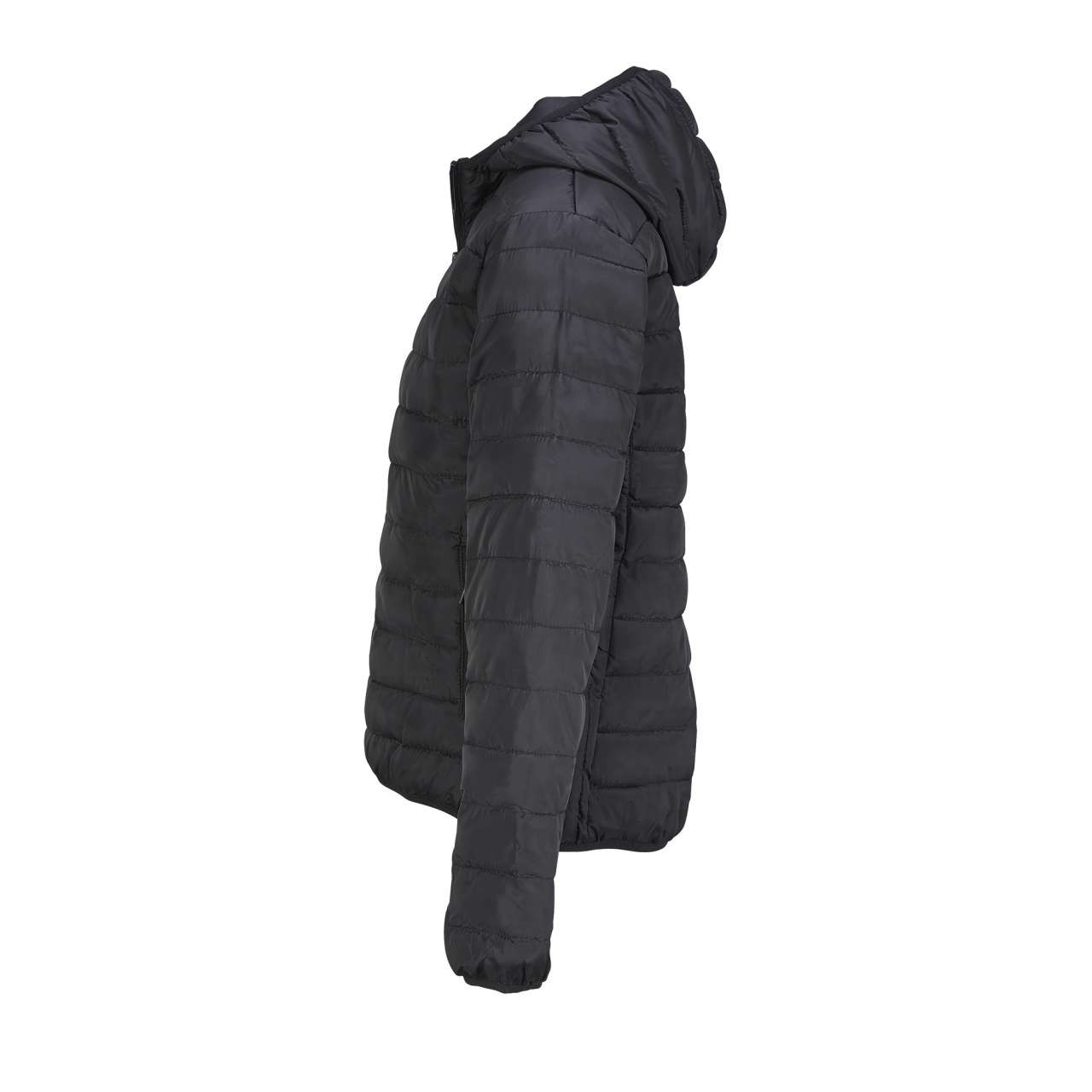 SOL'S STREAM HOODED WOMEN - LIGHTWEIGHT HOODED PADDED JACKET