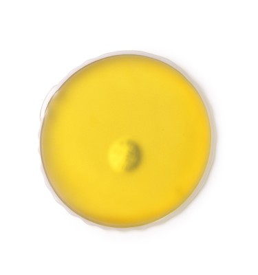 Żółty