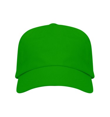 Zielony paprotkowy