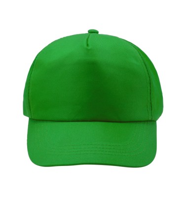 Zielony paprotkowy