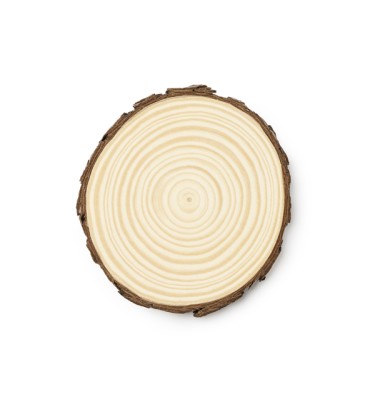 PINEA