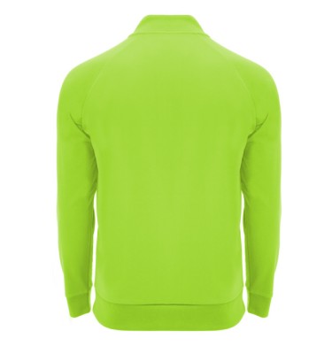 Zielony fluorescencyjny