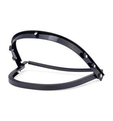 Visor carrier