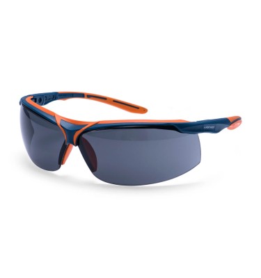 Mega KN Safety Glasses