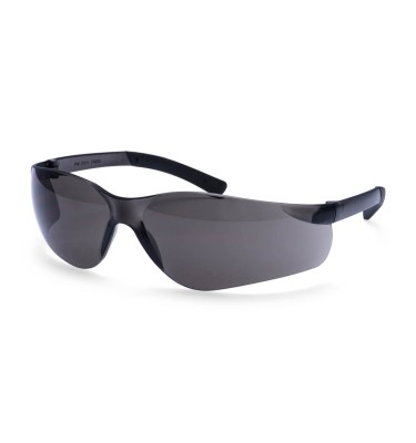 Pan View Safety Glasses