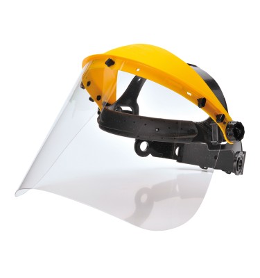 Browguard with Clear Visor