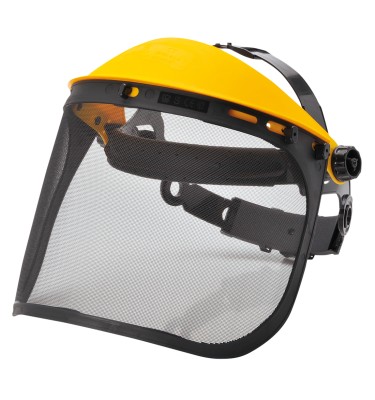 Browguard with Mesh Visor