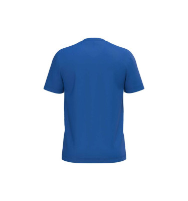 MEN'S SHORT-SLEEVED V-NECK T-SHIRT