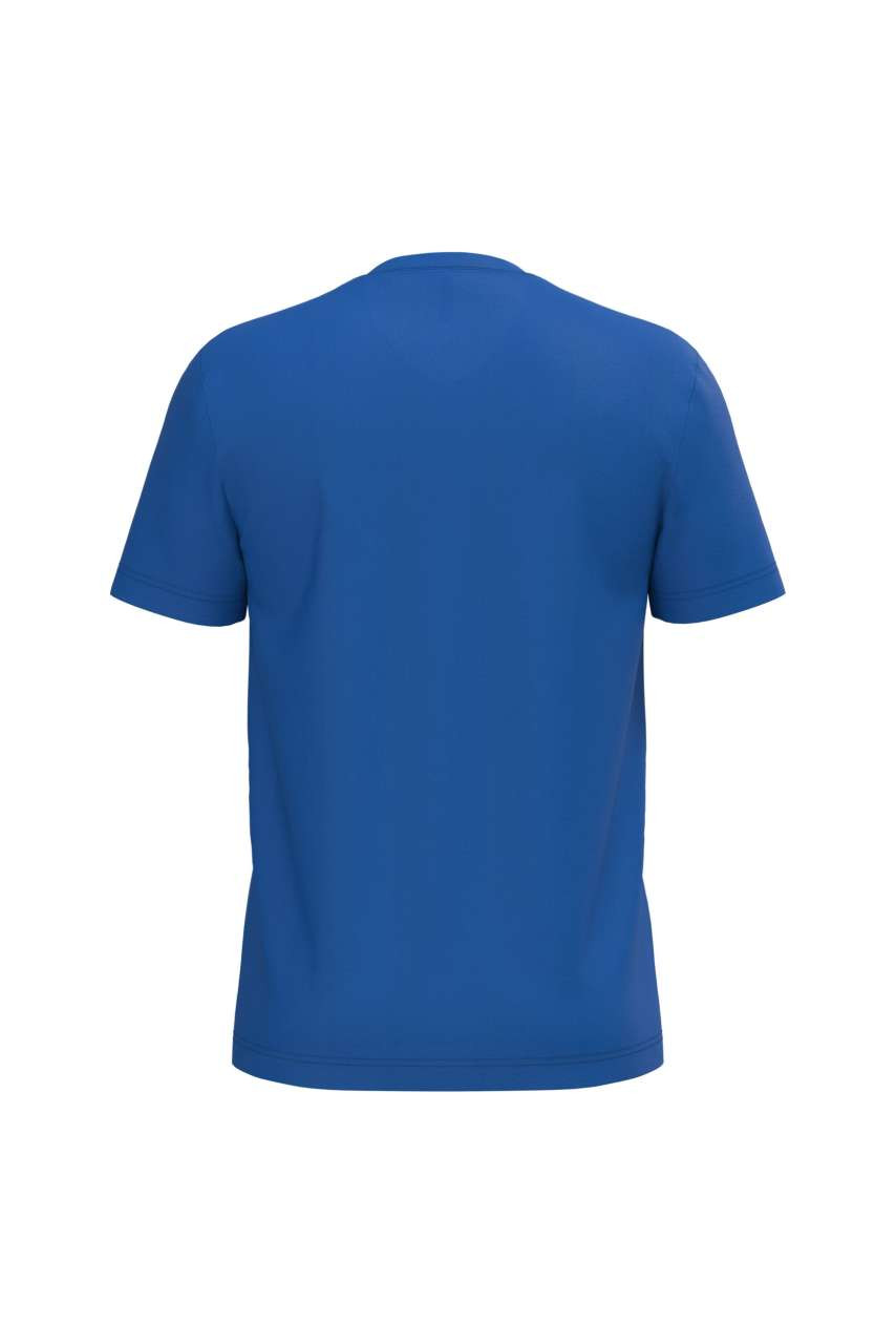 MEN'S SHORT-SLEEVED V-NECK T-SHIRT