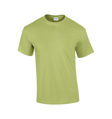 Pistachio