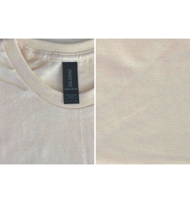 HEAVY COTTON™ ADULT T-SHIRT